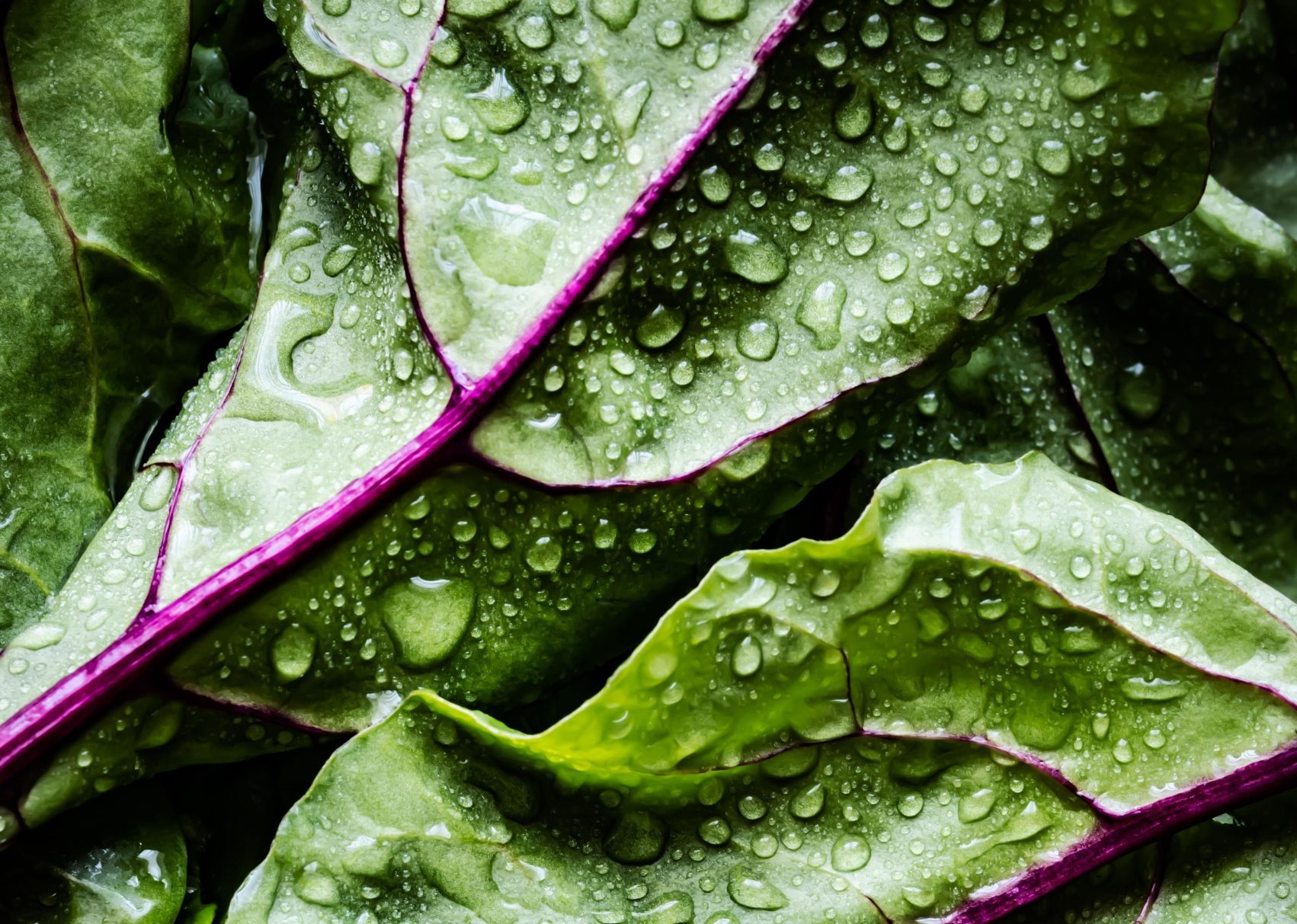 Pictures paint a thousand words